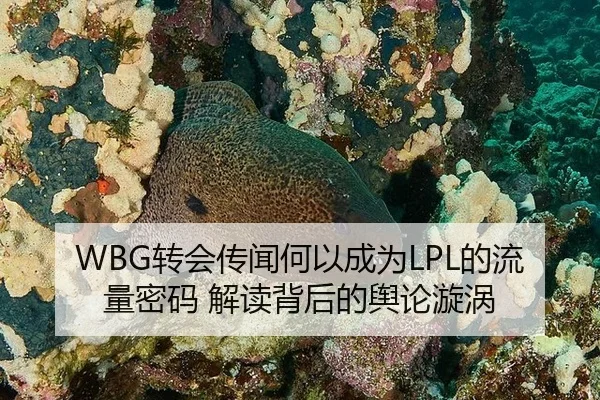 zhuan-hui-chuan-wen-he-yi-cheng-wei-de-liu-liang-mi-ma-jie-du-bei-hou-de-yu-lun-xuan-wo-2-144.jpg